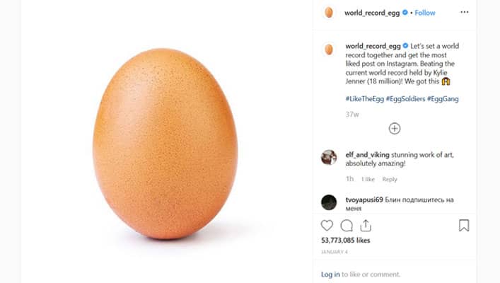 تخم مرغ رکورد جهانی